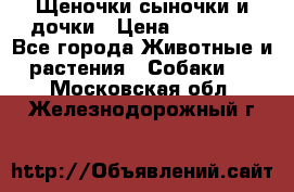 Щеночки-сыночки и дочки › Цена ­ 30 000 - Все города Животные и растения » Собаки   . Московская обл.,Железнодорожный г.